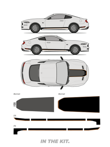 Ford Mustang Mach-1 Stripe kit