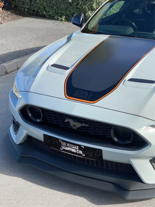 Ford Mustang Mach-1 Stripe kit