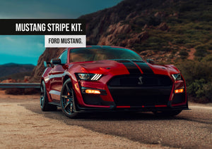 Ford Mustang GT Stripe kit